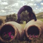 Vidya in wheel pose atop olive oil urns